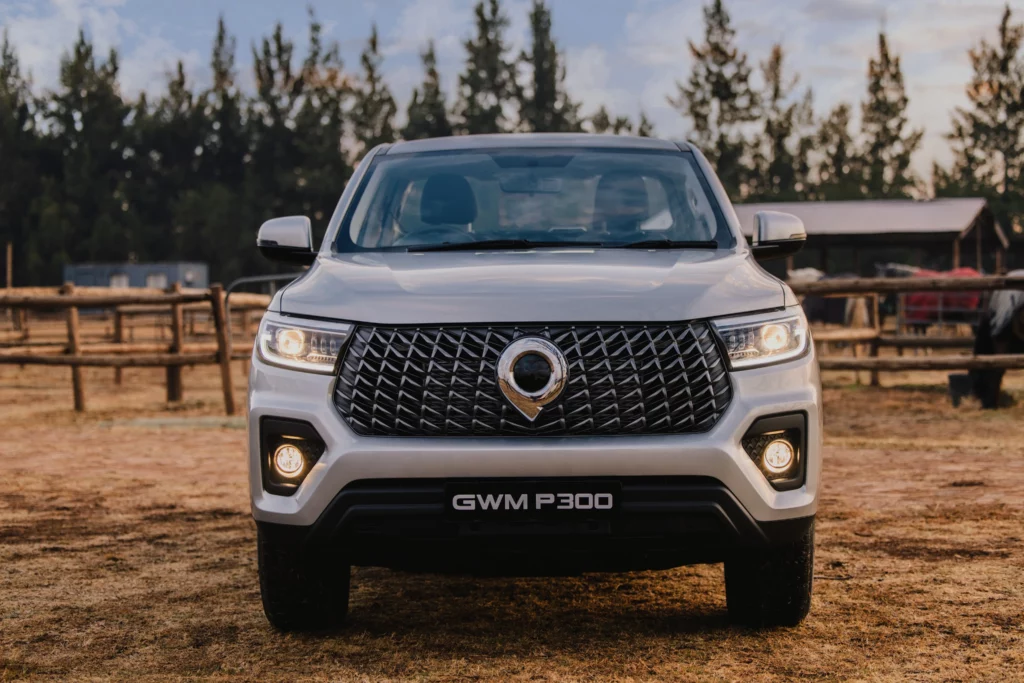 GWM-3